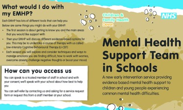Mental Health Support Team in Schools