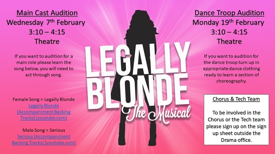 Legally blonde poster audition